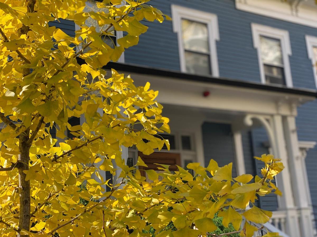 Ginkgo House On Harvard Cambridge Eksteriør bilde