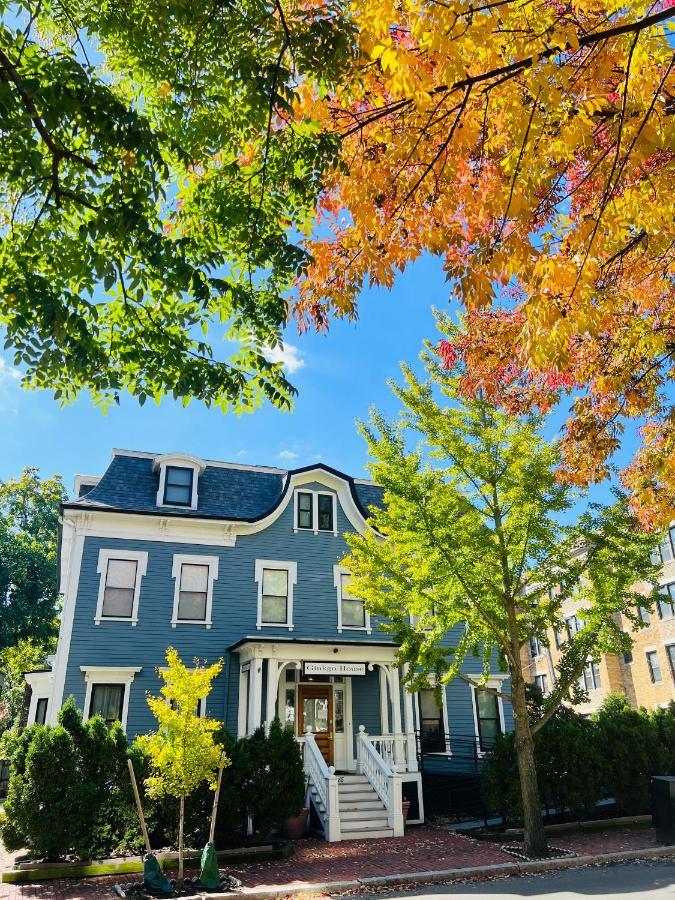 Ginkgo House On Harvard Cambridge Eksteriør bilde
