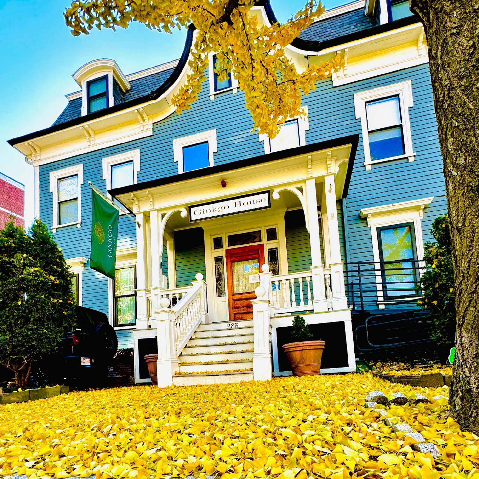 Ginkgo House On Harvard Cambridge Eksteriør bilde
